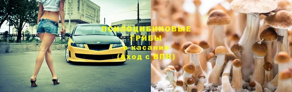 ГАЛЛЮЦИНОГЕННЫЕ ГРИБЫ Белоозёрский