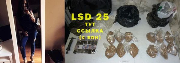 ГАЛЛЮЦИНОГЕННЫЕ ГРИБЫ Белоозёрский