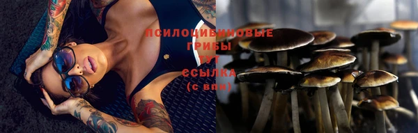 jwh Беломорск