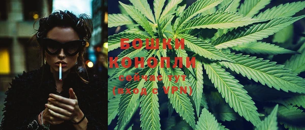 гидропоника Белокуриха