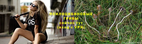 дурь Богородск