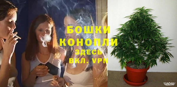 дурь Богородск